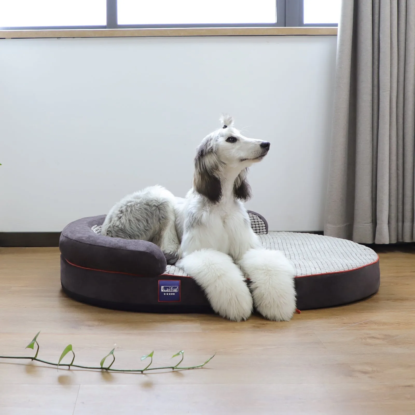 Laifug Oval Dog Bed Cover