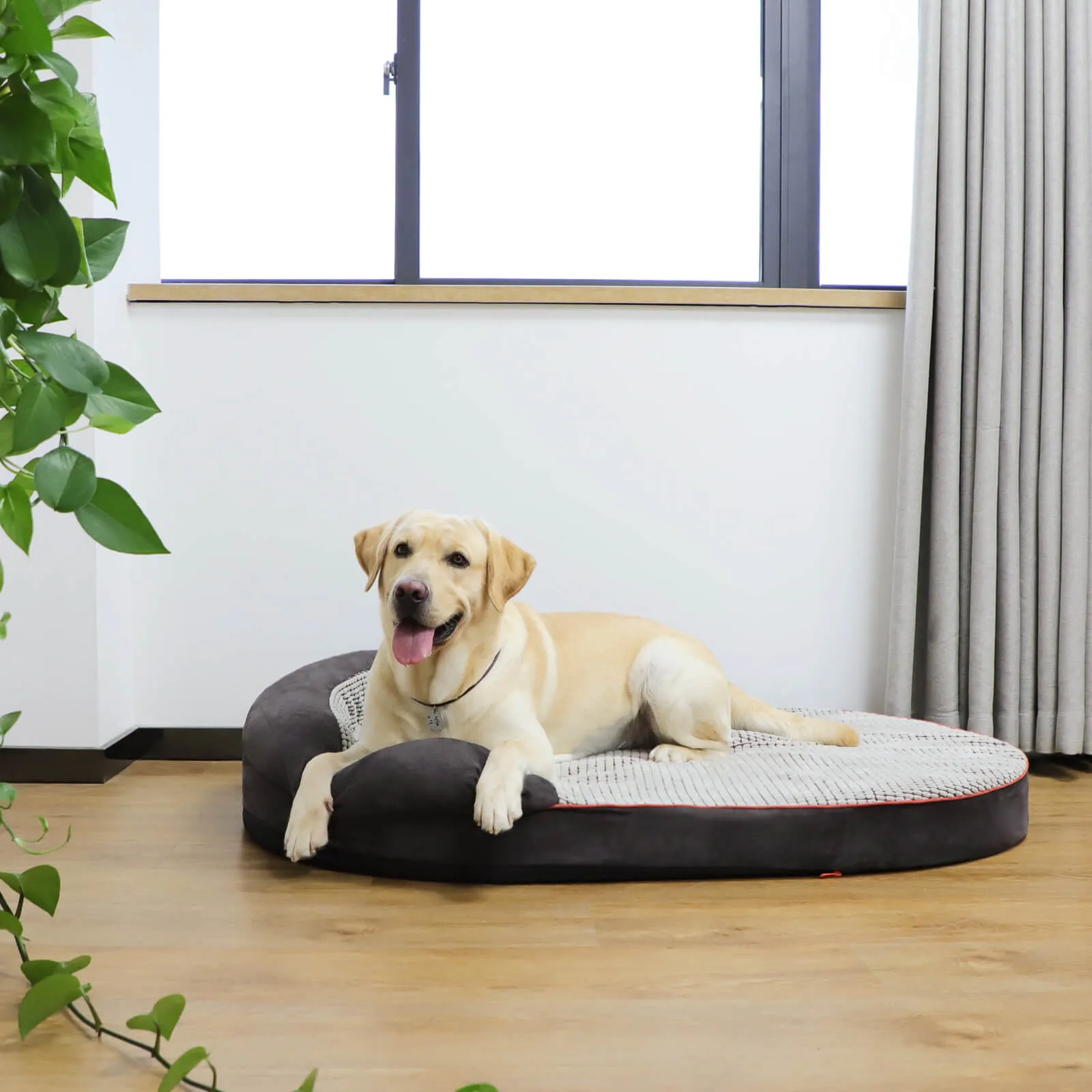 Laifug Oval Dog Bed Cover
