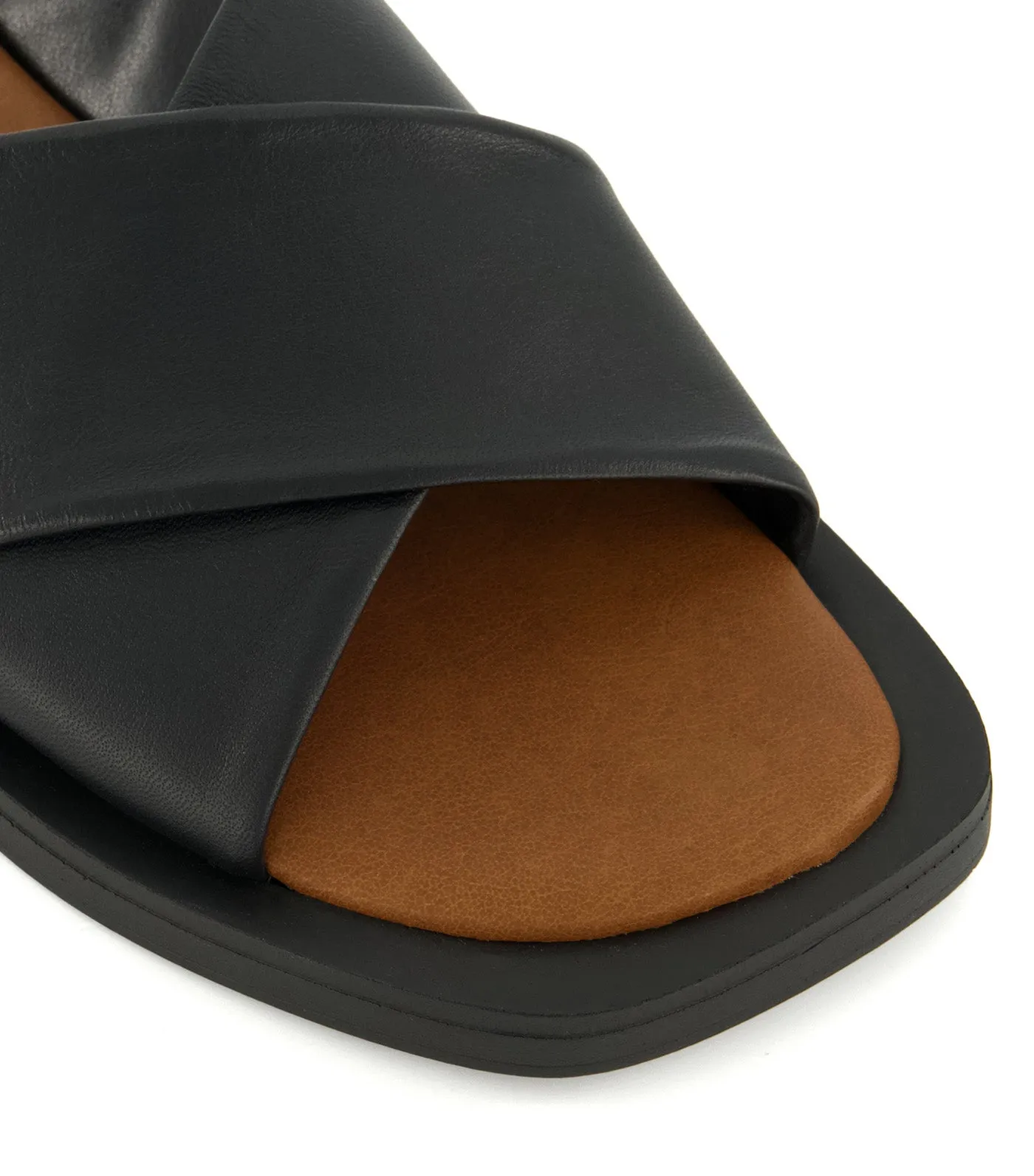 Licorice Slide Sandals Black