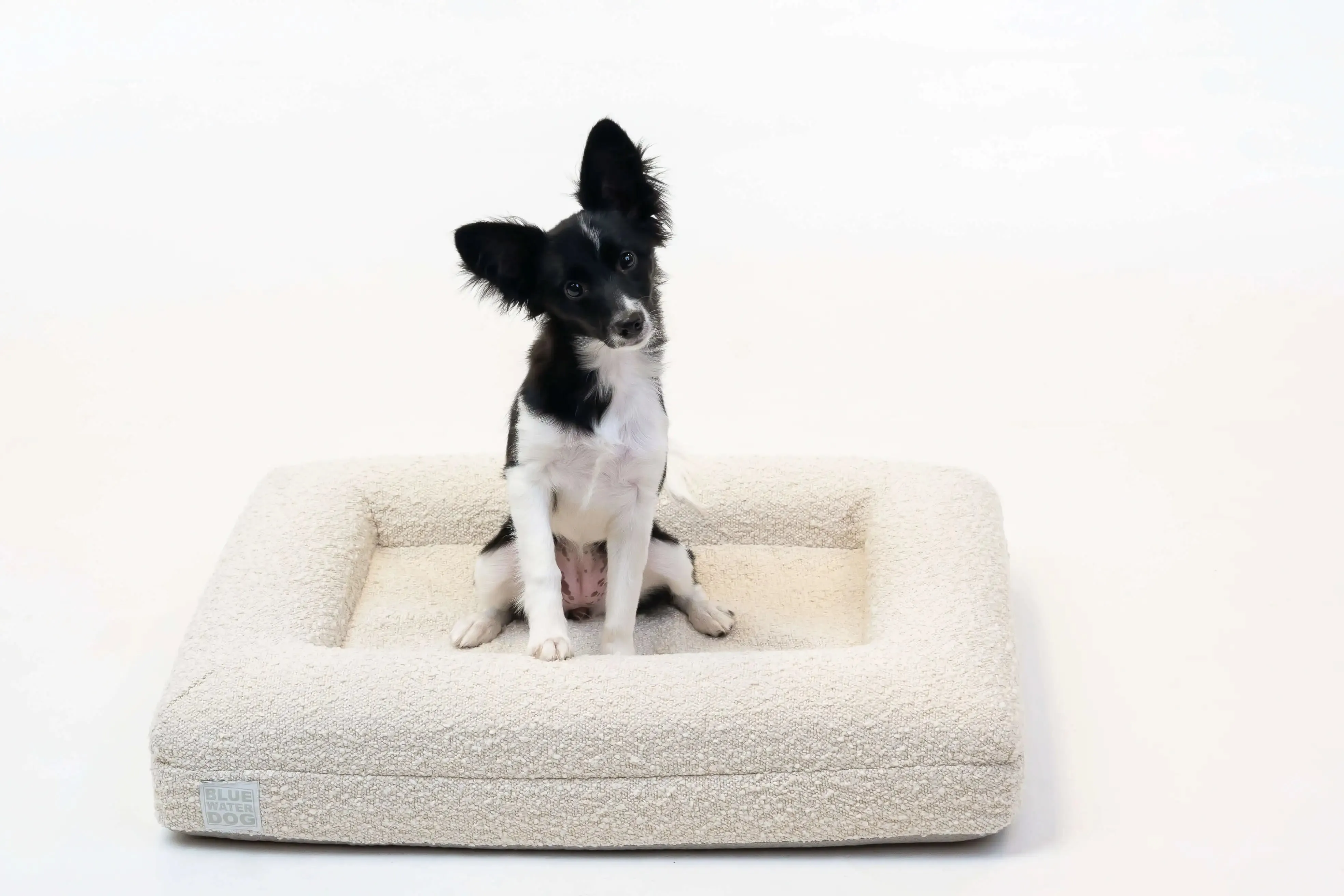 Small Luxury Bouclé Orthopedic Bluewater Dog Bed (Cloud)