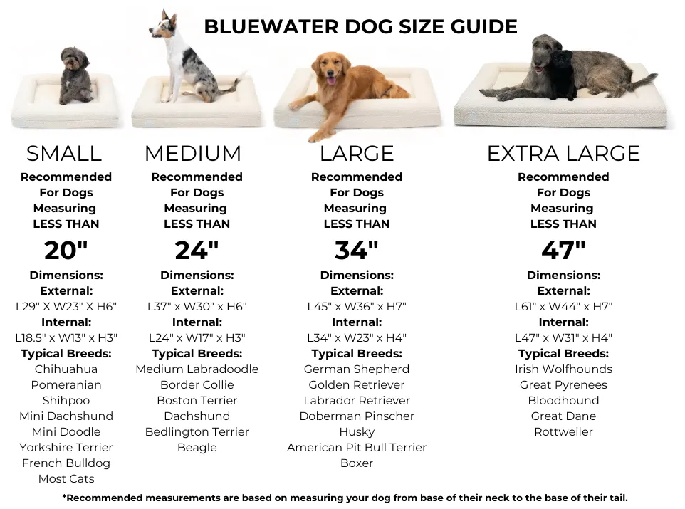 Small Luxury Bouclé Orthopedic Bluewater Dog Bed (Cloud)