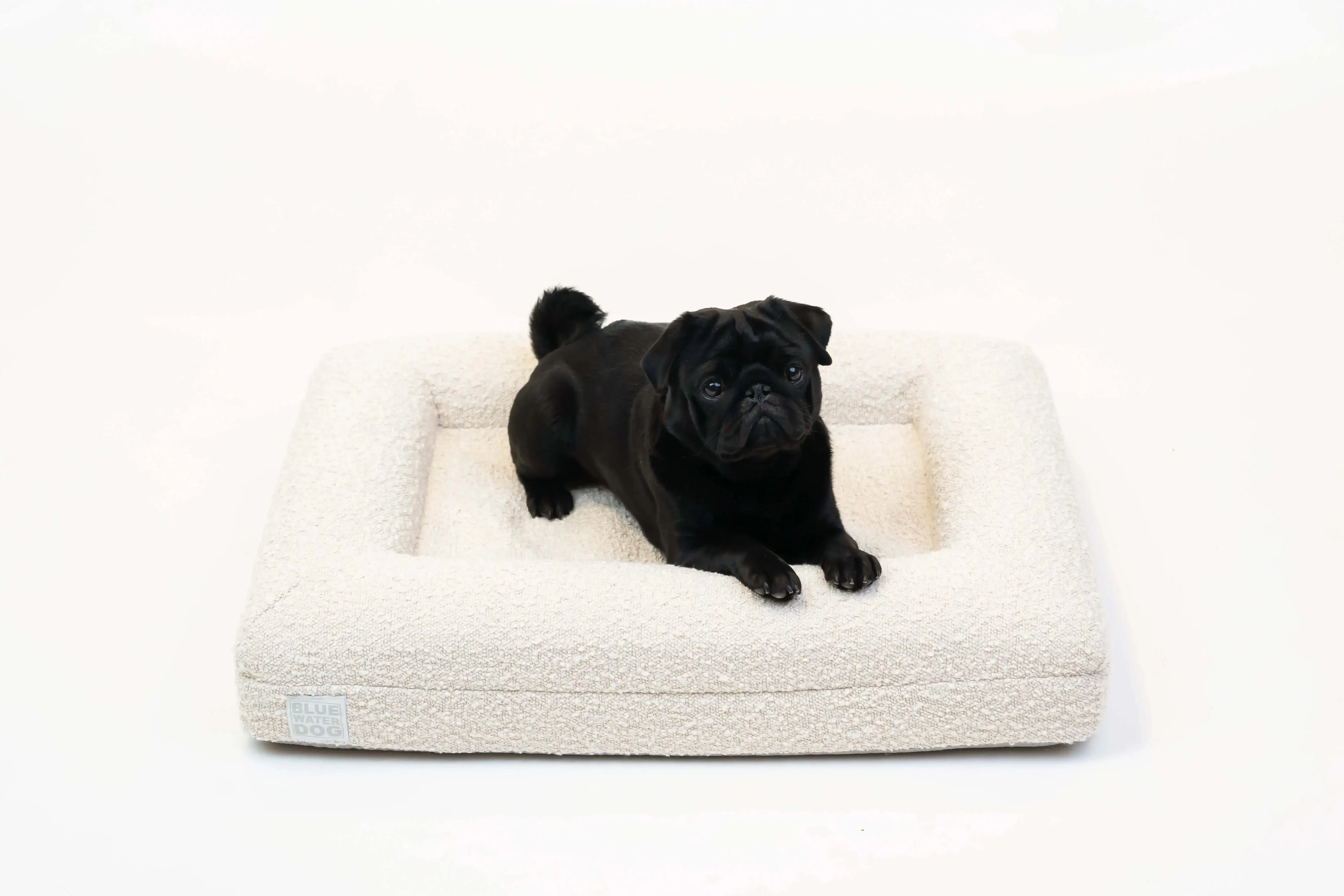 Small Luxury Bouclé Orthopedic Bluewater Dog Bed (Cloud)