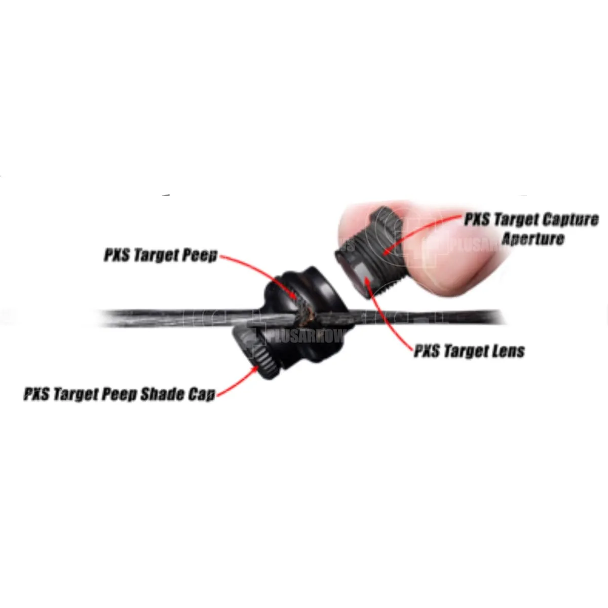 Specialty Archery PXS Target Peep Verifiers