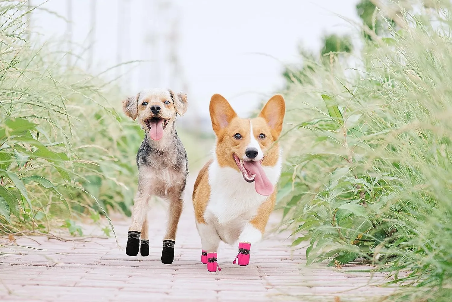YAODHAOD Dog Shoes for Winter, Dog Boots & Paw Protectors, Fleece Warm Snow Booties for Puppy with Reflective Strip Anti-Slip Rubber Sole for Small Medium Size Dogs,Size 3: 1.5"x1.3" (L*W),Black